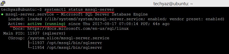 SQL Server Service