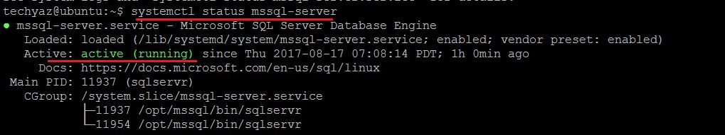 Check SQL Server Service