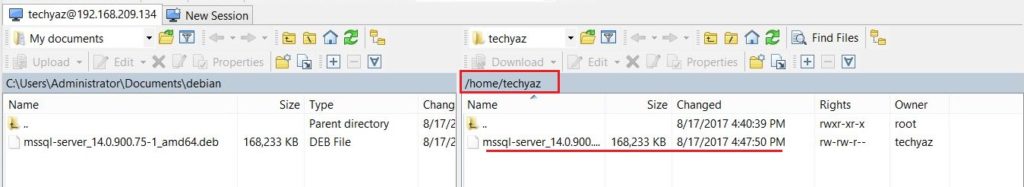 WinSCP post copy the package