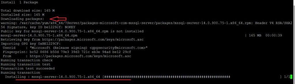 Install SQL Server on Linux