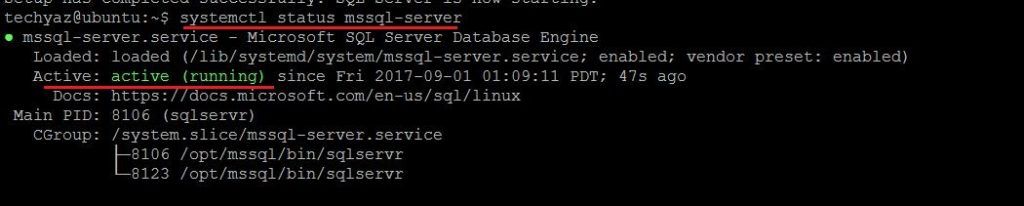 Check SQL Server Service