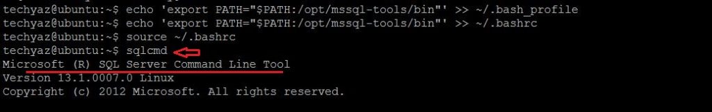 set path environment variable