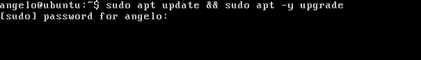 Run updates