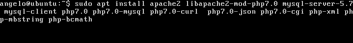 Install LAMP server