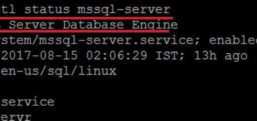 check SQL Server Service