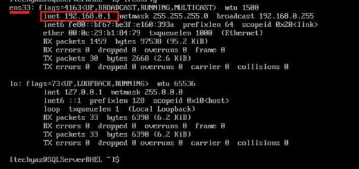 check ip address of linux machine