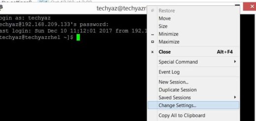 Putty Settings Console