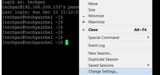 Putty Change Setting window