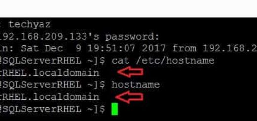 Check linux hostname